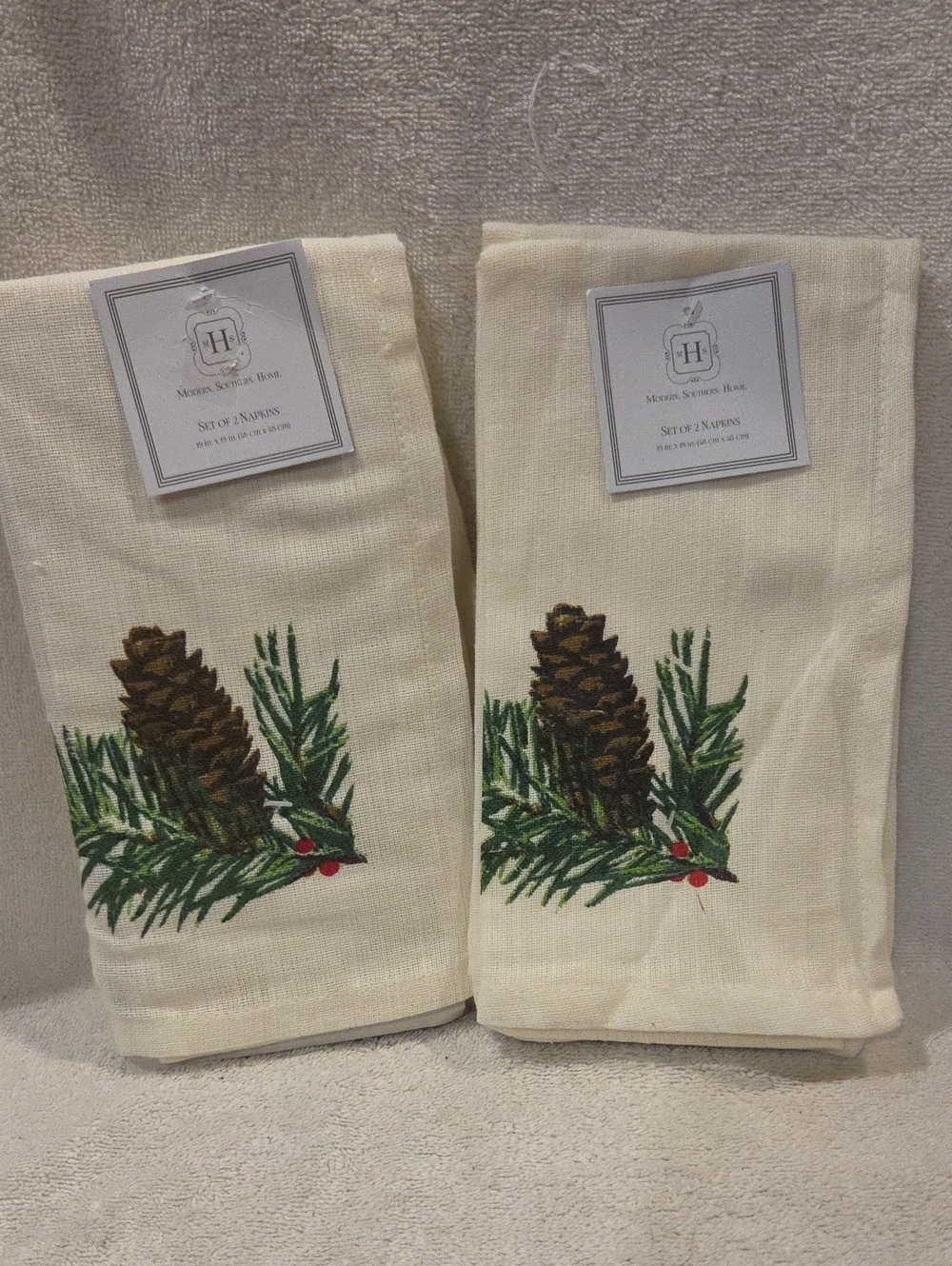 MODERN SOUTHERN HOME NAPKINS